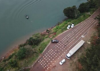 Seguridad y tráfico de drogas ilegalizadas: Prefectura decomisó más 4 toneladas de marihuana