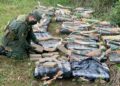 Gendarmería Nacional secuestró más de 665 kilos de marihuana