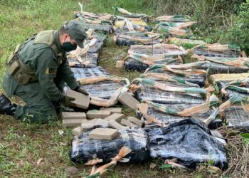 Gendarmería Nacional secuestró más de 665 kilos de marihuana