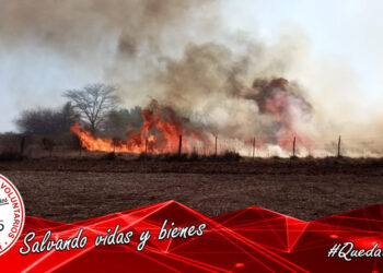 Carcarañá: Se produjo un incendio forestal de grandes magnitudes