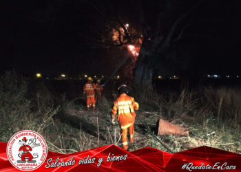 Carcarañá: Incendio de un árbol en un campo