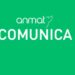 Covid-19: Comunicado del ANMAT sobre los desinfectantes de superficies