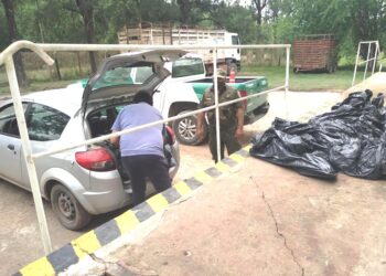 Cañada de Gómez: Fue aprehendido en el Matadero local con 96 kilos de achuras bovinas en el baúl de su auto