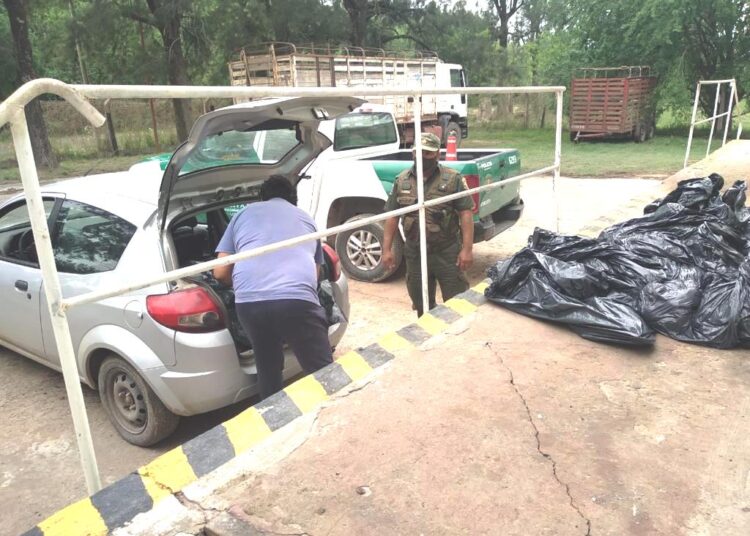 Cañada de Gómez: Fue aprehendido en el Matadero local con 96 kilos de achuras bovinas en el baúl de su auto
