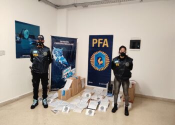 Seguridad: La Policía Federal y la Policía Bonaerense desarticularon una red de pornografía infantil internacional