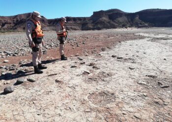 Impactante hallazgo: La Prefectura descubrió huellas de dinosaurio en la Patagonia