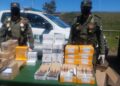 Entre Ríos: Gendarmería incautó importante cantidad de medicamentos