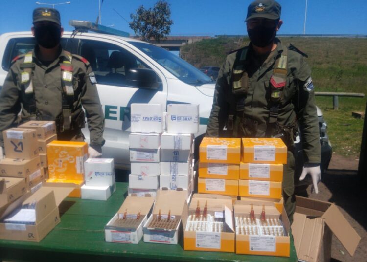 Entre Ríos: Gendarmería incautó importante cantidad de medicamentos