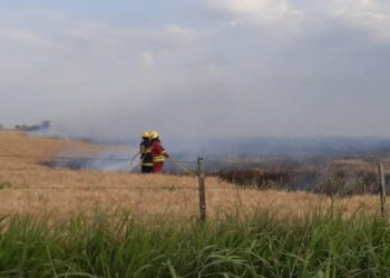 Montes de Oca: Bomberos Voluntarios reportaron un accidente tránsito y varios incendios