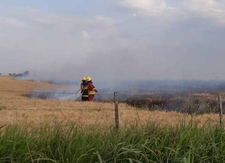 Montes de Oca: Bomberos Voluntarios reportaron un accidente tránsito y varios incendios