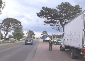 Durante operativos de control detuvieron a vehículos que transportaban carne con documentación incompleta
