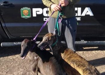 Las Parejas: labran actas de infracciones a cazadores por carecer de licencia y barbijos