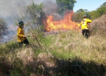 Incendio en la zona rural de la localidad de La gallareta