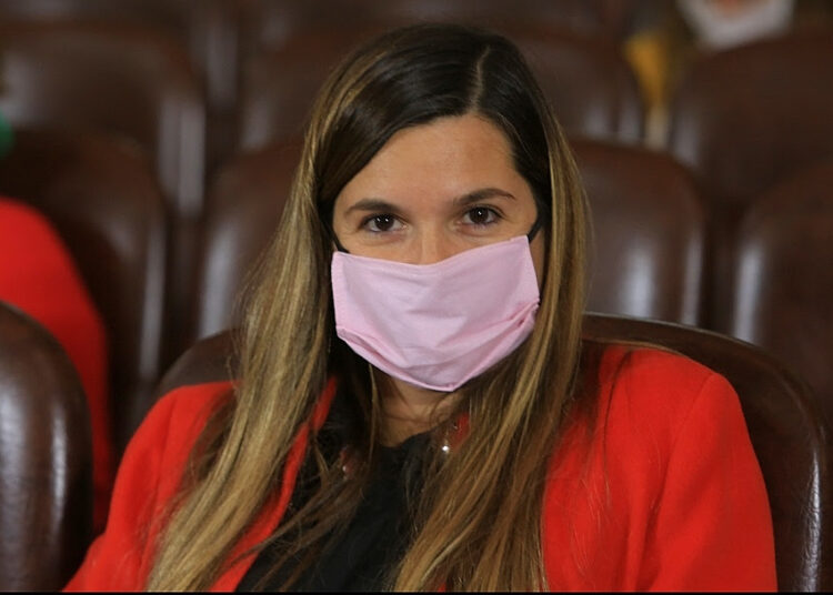 Ulieldin: “Queremos saber qué monto se transfirió a cada municipio y comuna en el marco de la pandemia”