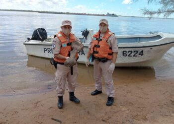 Hallaron en el río Paraná restos fósiles de un perezoso gigante