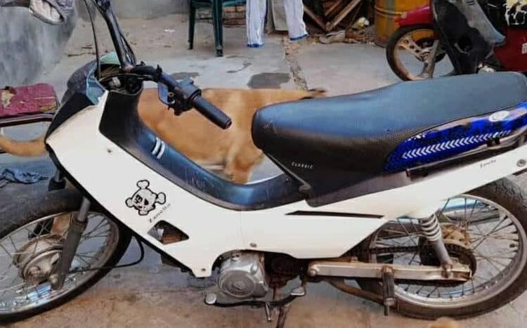Cañada de Gómez: Robaron una moto que estaba estacionada en la puerta de una casa