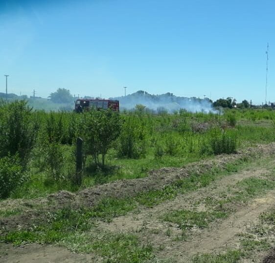 Las Rosas: incendio de residuos y pastizales