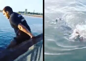 [Video] Misiones: Rescataron a una mujer de las aguas del río Paraná