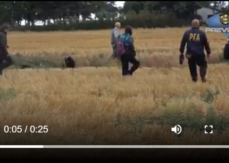 [Video] Balcarce: La Policía Federal rescató 301 animales de diferentes especies en un predio rural