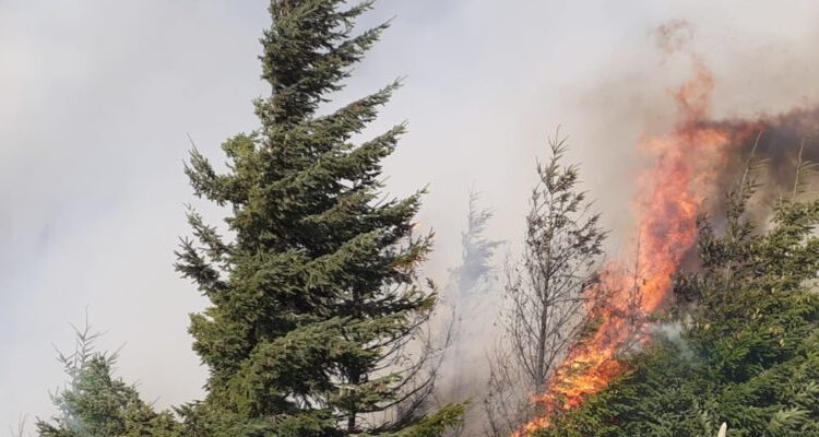 Río Negro: allanan la vivienda del hombre sospechado de ser el causante del Incendio en El Bolsón