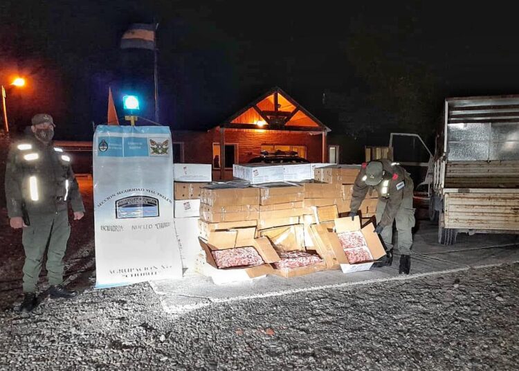 Chubut: Gendarmería interceptó un cargamento de langostinos de origen ilegal