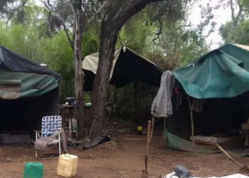 Chaco: rescataron en dos campos a 76 personas víctimas de explotación laboral