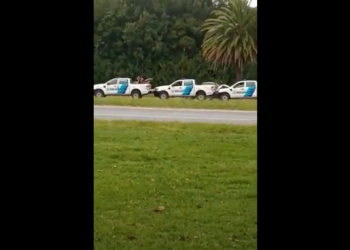 (Video) Chocan en cadena 4 móviles policiales de la UTOI por distracción