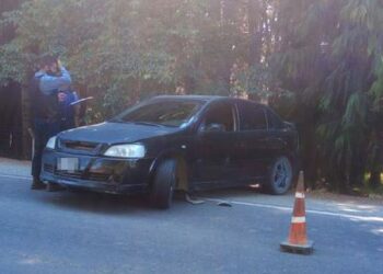 Río Negro: Recuperan elementos robados tras una persecución en el Circuito Chico