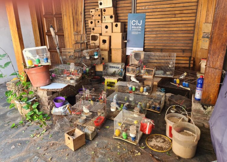 CABA: Liberan 51 especies de animales silvestres y exóticos que estaban en pésimas condiciones de higiene