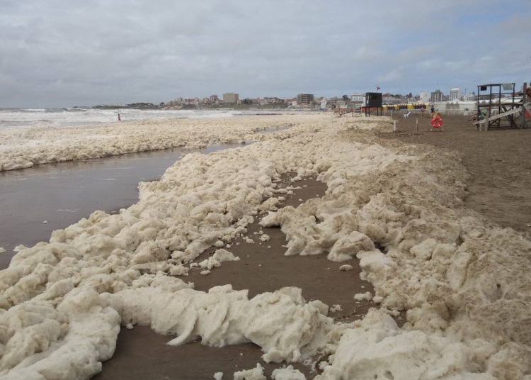 La explicación científica de la espuma que se formó en las costas de Mar del Plata