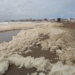 La explicación científica de la espuma que se formó en las costas de Mar del Plata
