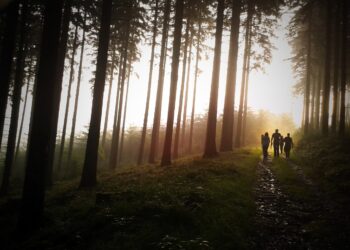 NOS HICIERON PELOTA A LAS FAMILIAS