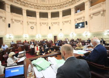 Diputados solicitó informes al ejecutivo por incompatibilidades del titular de la API, Martín Ávalos