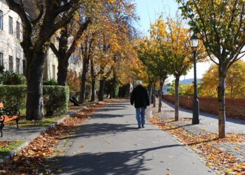 VALORES (Palabras mágicas) – Por Emanuel N. Soverchia