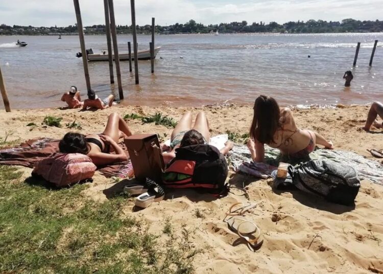 Una tarde en la Florida – Por Mario A. Chiappino