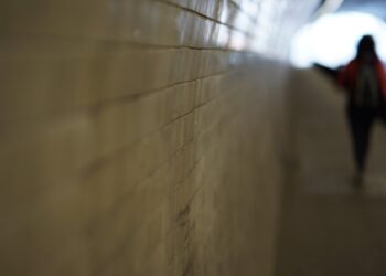 Intentó arrebatarle la cartera a una mujer en plano centro