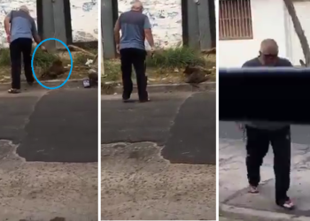 [Video] Asesinó de un disparo a un perro callejero que le movió la cola hasta morir