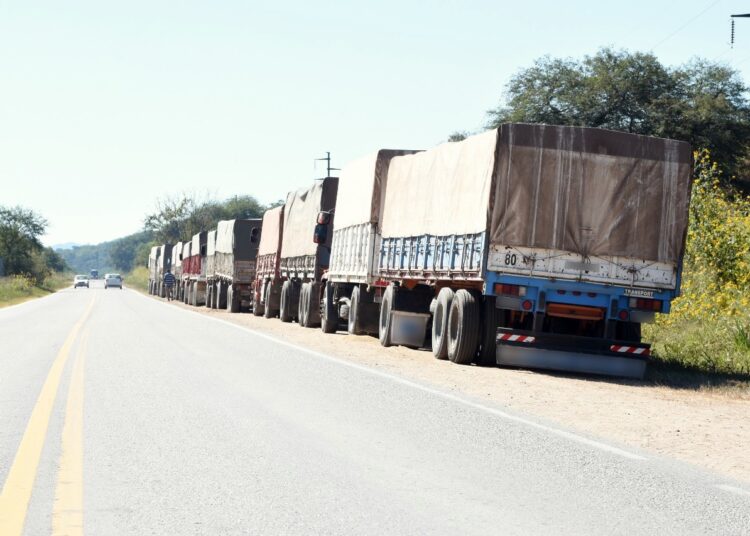 Contrabando de soja: Gendarmería secuestró 210 toneladas trasladadas desde Cañada de Gómez hacia Salta y otras 86 toneladas en Corrientes