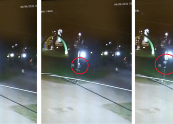Cámaras de seguridad del municipio lo captaron robando focos de la Plaza San Martín
