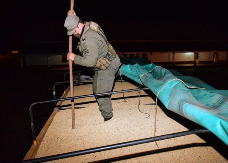 Transportaban 296 toneladas de soja ilegalmente en 10 camiones