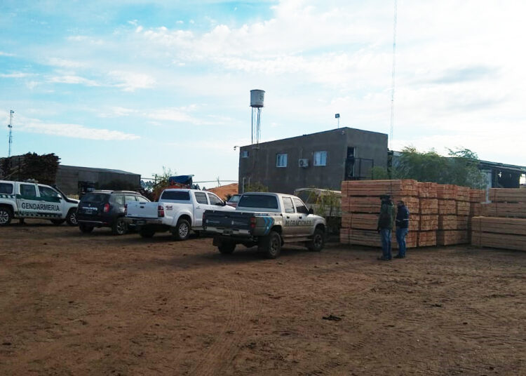 Explotación laboral en Corrientes: allanan 7 aserraderos y rescatan a 145 personas