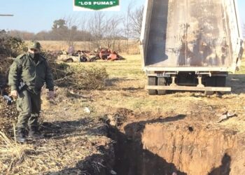 Bouquet: encuentran en una carnicería 284 kilos de carne en condiciones no higiénicas