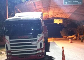 Detienen en Formosa al conductor de un camión con una pistola robada