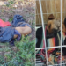 [VIDEO] Encontraron a un perro en bolsas de residuos  agonizando hasta morir
