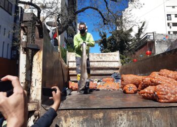CABA: Inspeccionan varios locales gastronómicos del Barrio Chino por graves riesgos bromatológicos