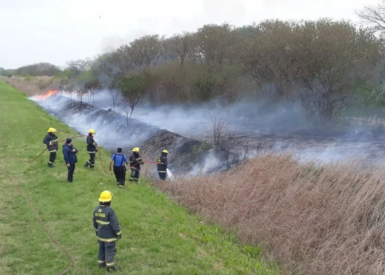 Las Rosas: Bomberos controlaron incendio de pastizales sobre Ruta Provincial N° 65