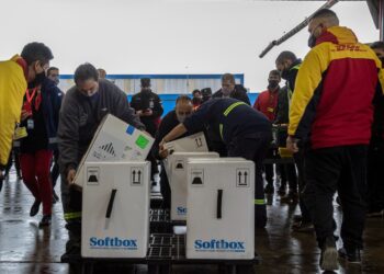 COVID-19: llegan a todo el país 161.460 dosis de Pfizer