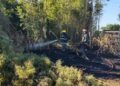 Las Rosas: Incendio de pastizales en la zona rural