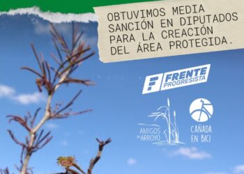 El Parque Sur de Cañada de Gómez cerca de convertirse en Área Natural Protegida