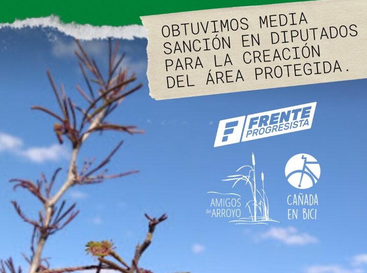El Parque Sur de Cañada de Gómez cerca de convertirse en Área Natural Protegida